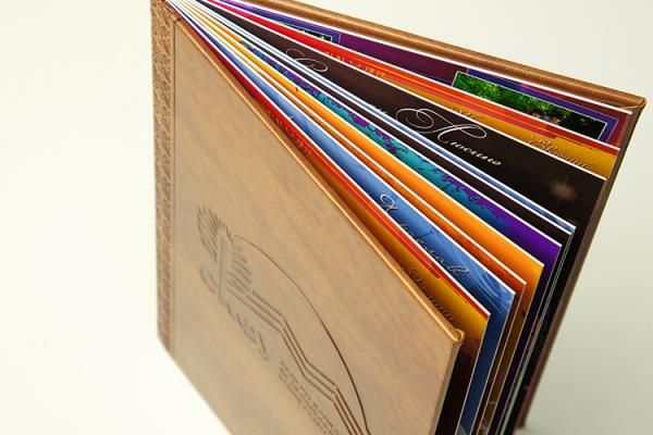 Тиснение для СКФУ 4